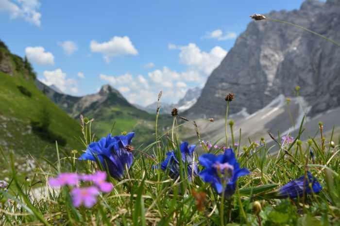 Appartmenthaus Birkenwald Seefeld in Tirol Ngoại thất bức ảnh