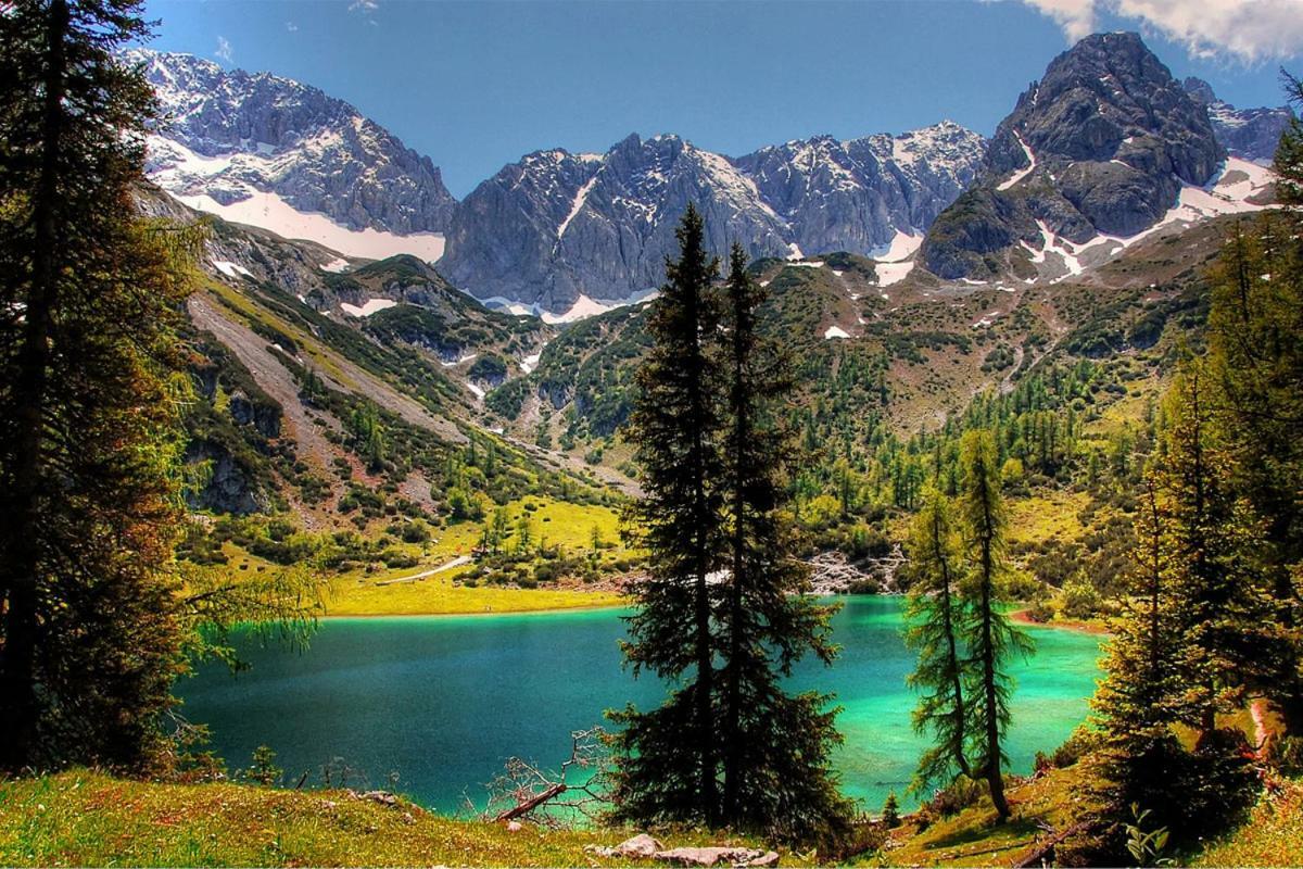 Appartmenthaus Birkenwald Seefeld in Tirol Ngoại thất bức ảnh